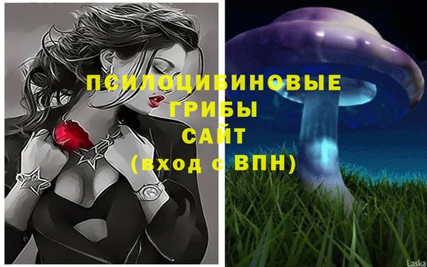 MDMA Premium VHQ Карталы