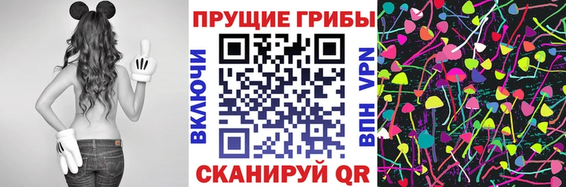Псилоцибиновые грибы мицелий  Купить где  Дегтярск 